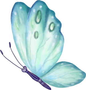 Butterfly Insect Watercolor Illustratio